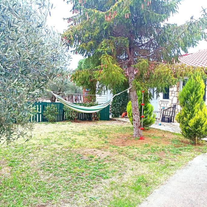 Πετρινη Κατοικια Στην Φυση Villa Tagarades Eksteriør billede